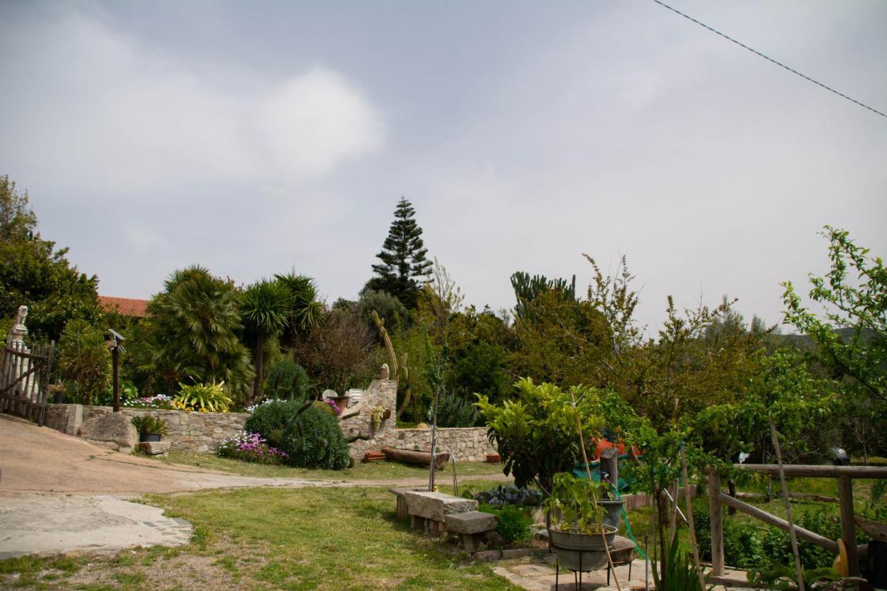 B&B Il Giardino Arbus Eksteriør bilde